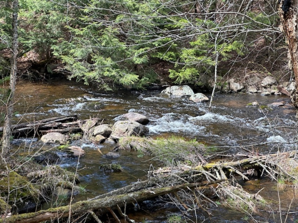 Lot 51 - Secluded Homesite with Wildlife Pond