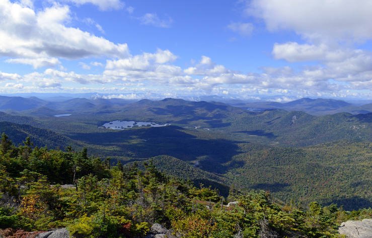 Alpine view from summit of a 46er, Adirondacks, New York