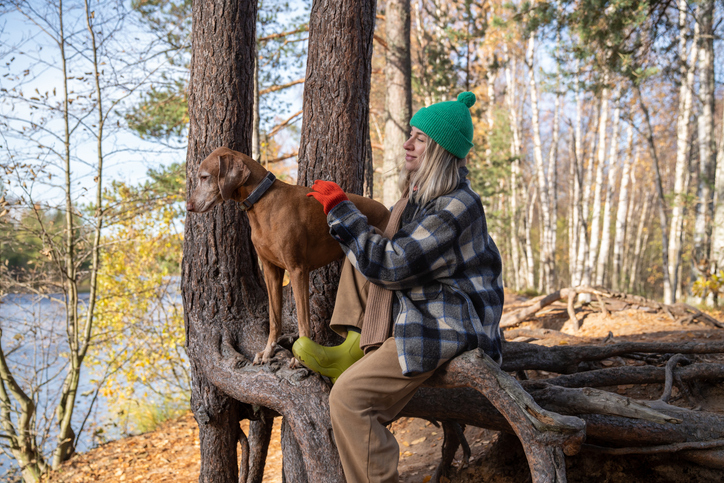 hiking with dogs