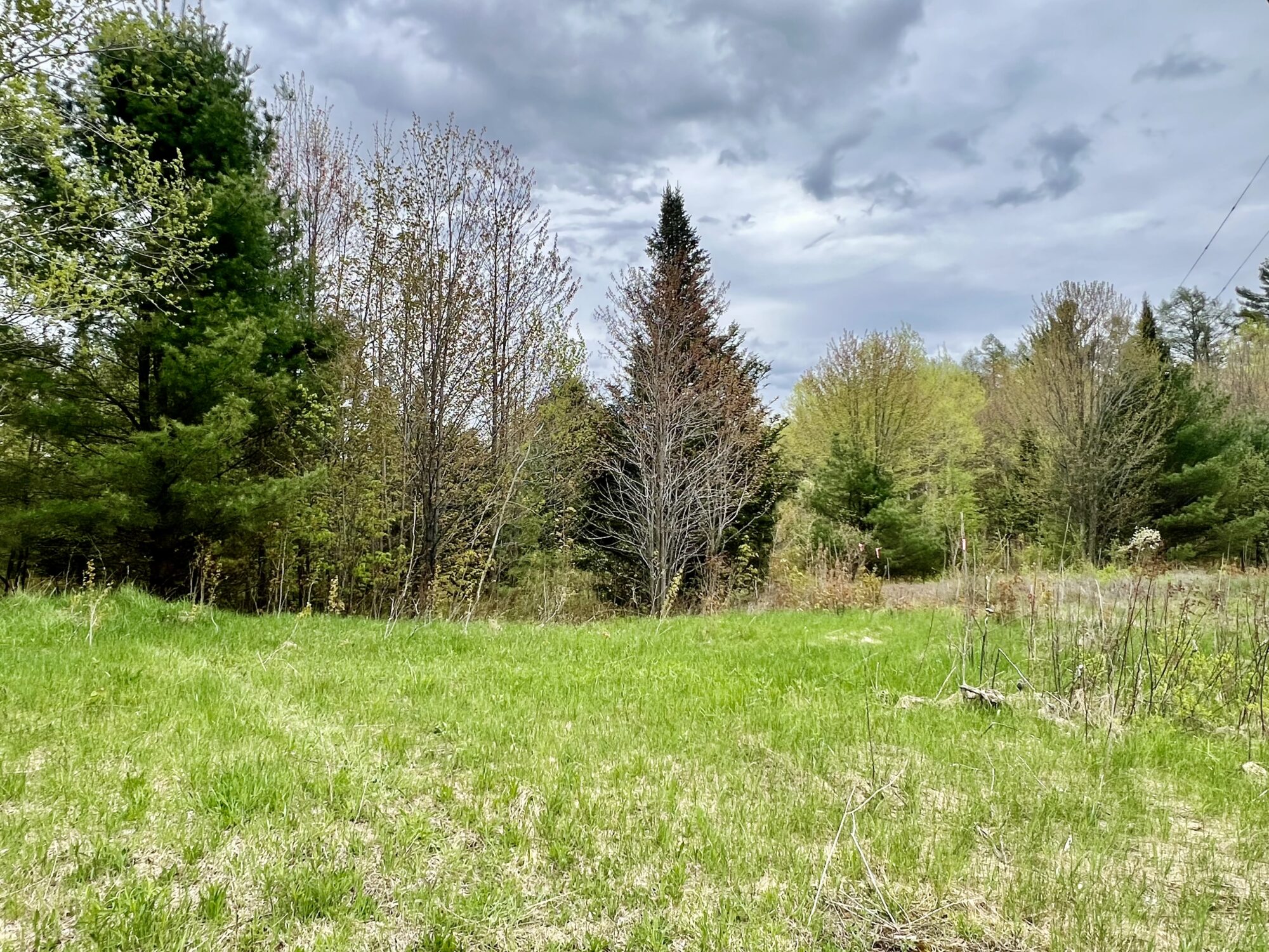 homesteading-adirondacks