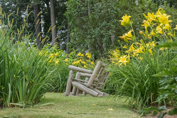 wooden bench in the middle of a garden