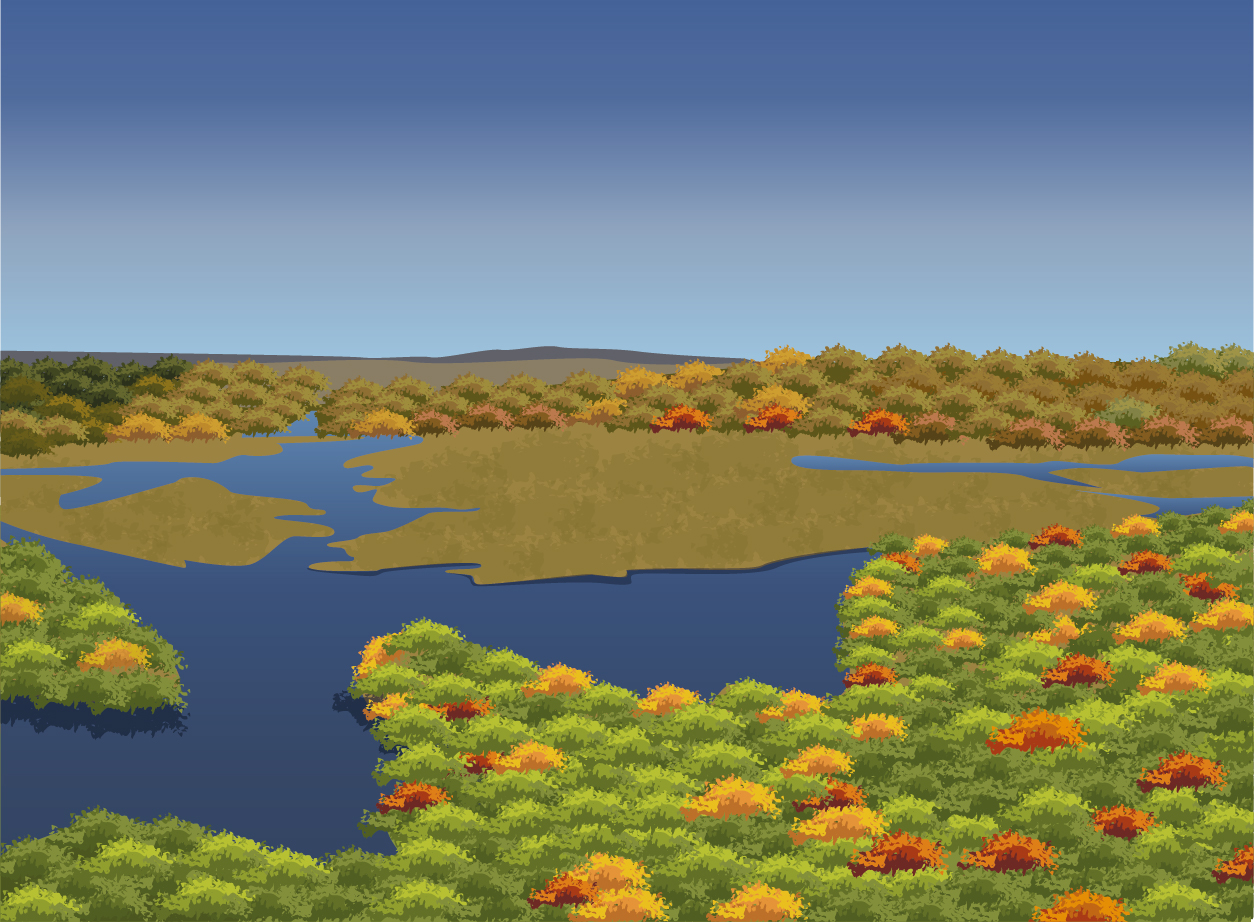 Scene - Adirondack Mountain Info