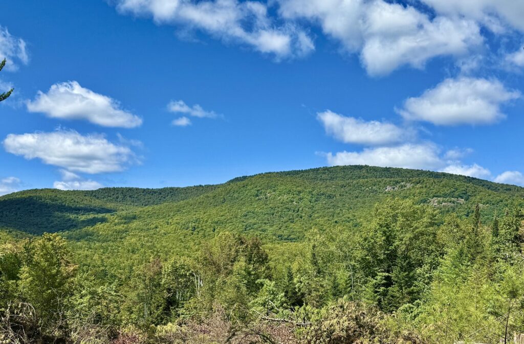mountain views