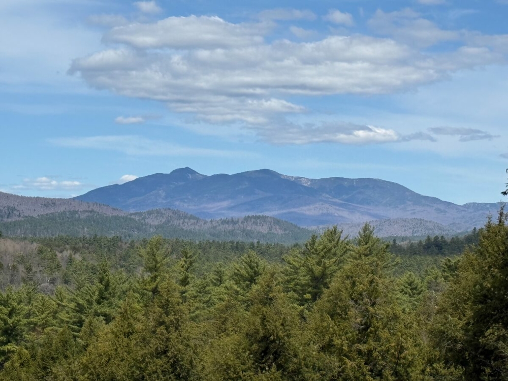 1 – View from Back of Property (Giant Mountain)