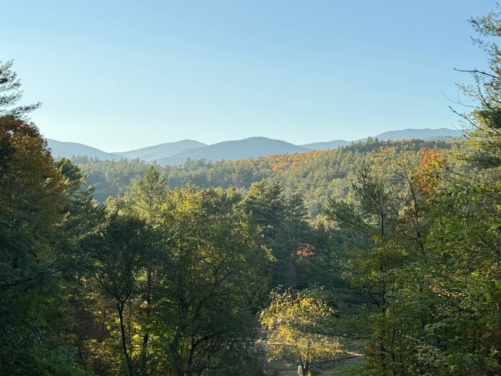 1 – View from Homesite