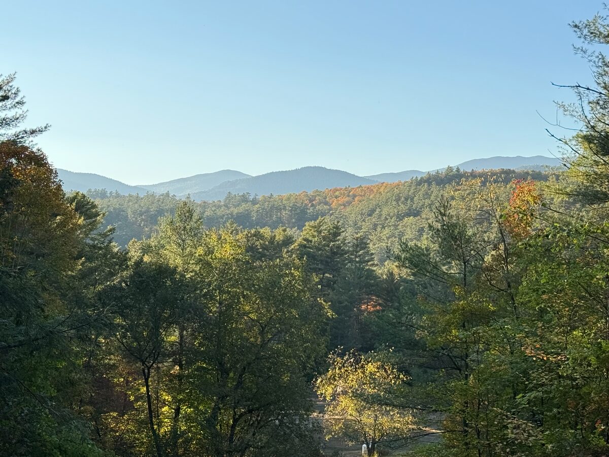 1 – View from Homesite