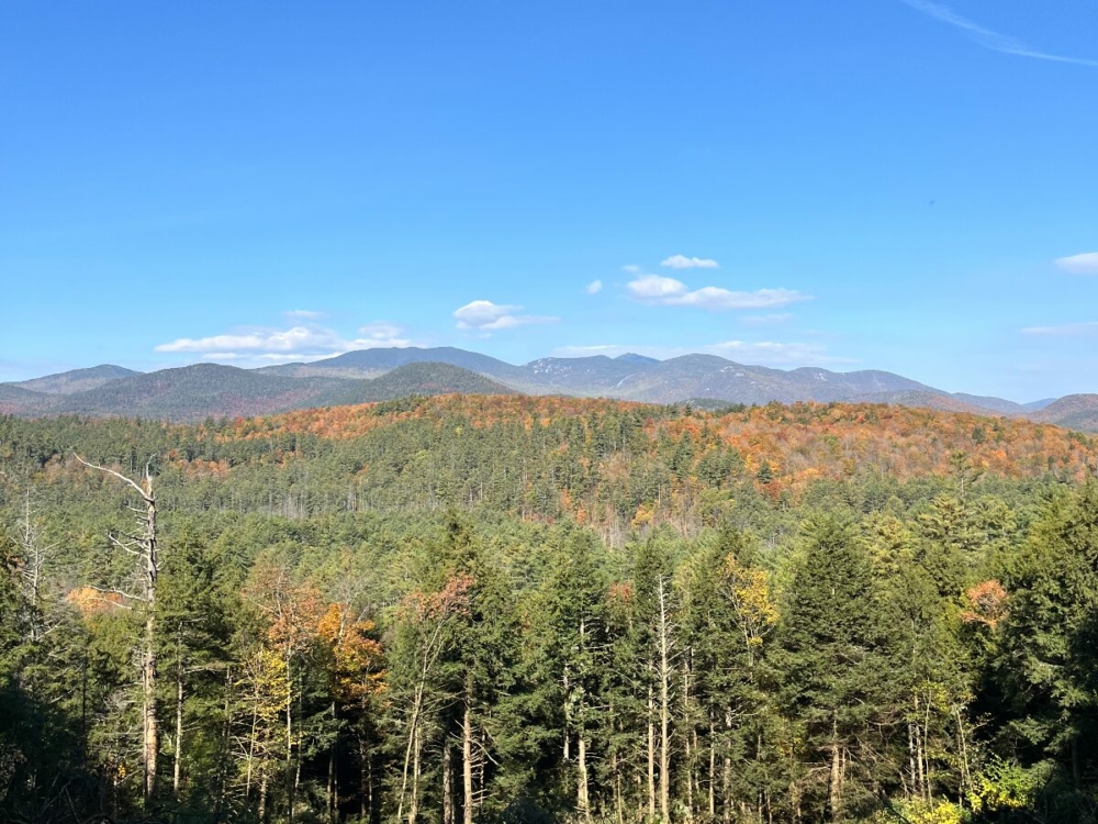 3 – View from Back of Property