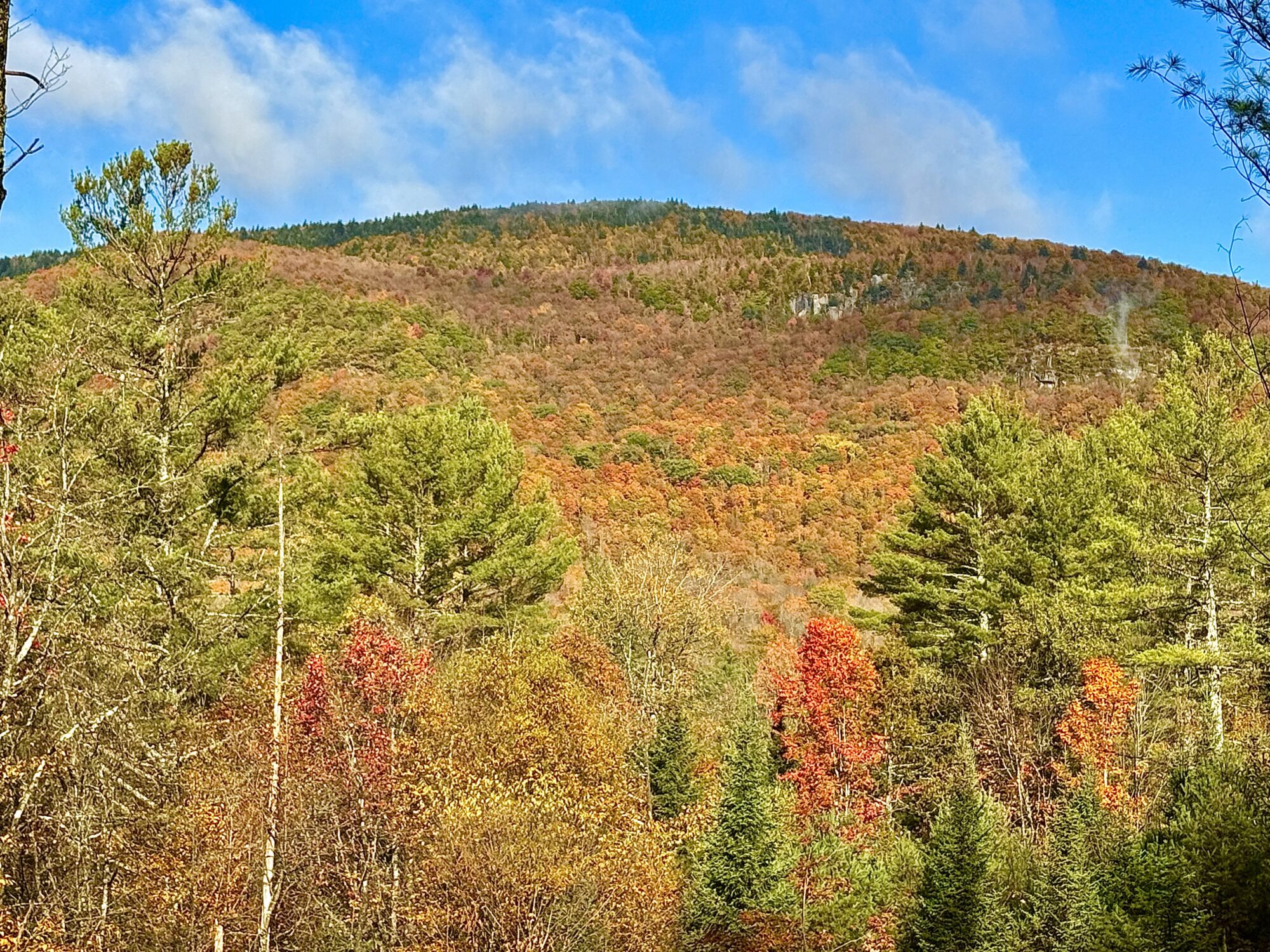View near Schroon Lake