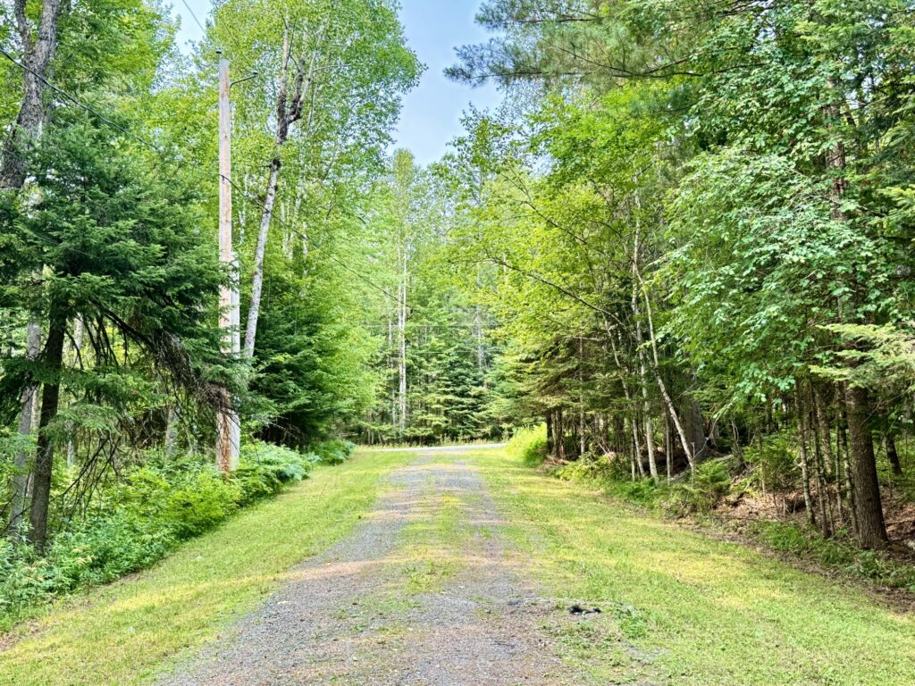 driveway leading to land by Indian Lake