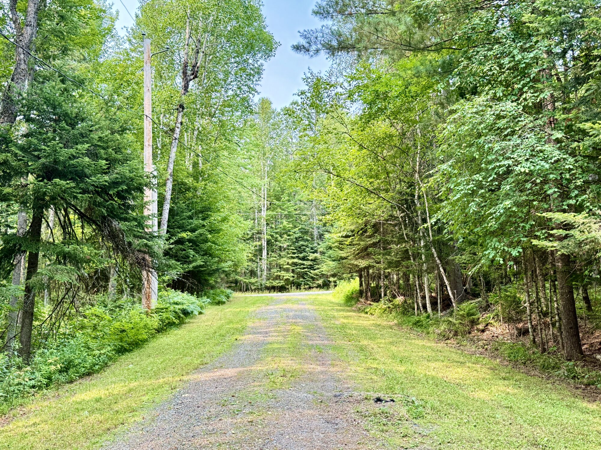 driveway leading to land by Indian Lake